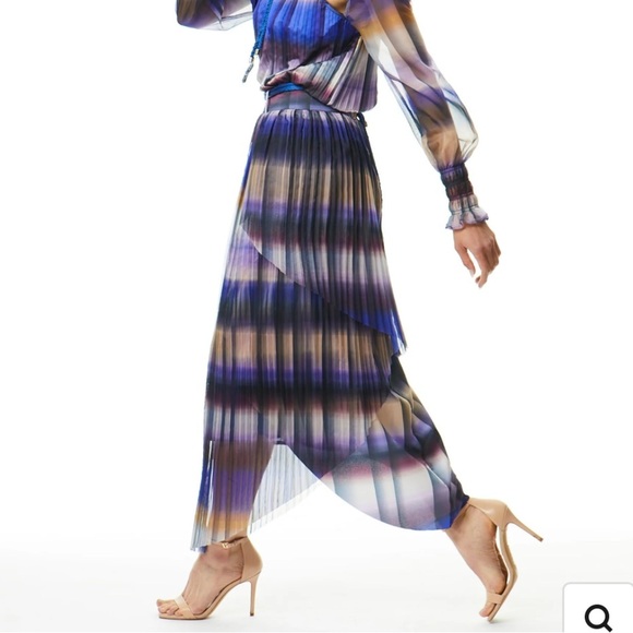 Adrienne Landou Soleil Crossover Pleated Skirt Size Medium - Picture 2 of 8